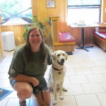 Yellow Lab Sitting with Person