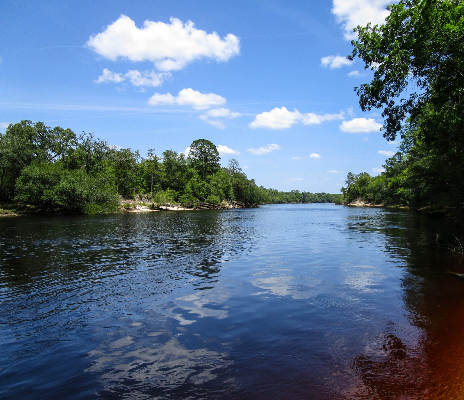 Blog - Suwannee River Rendezvous